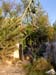 finca10288