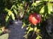 finca10289
