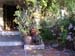 finca10291