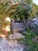finca10539