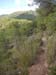 hike2693