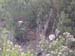 hike2699