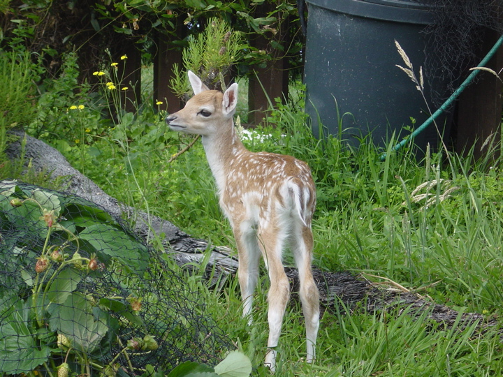 DSC03073.JPG