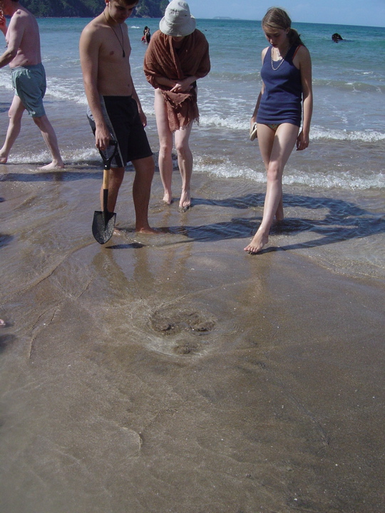 DSC03086.JPG