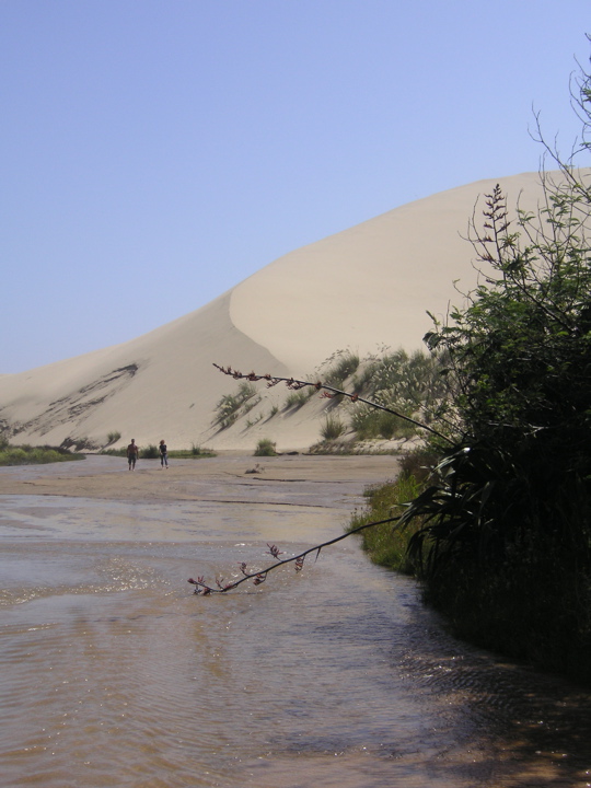 PICT0066.JPG