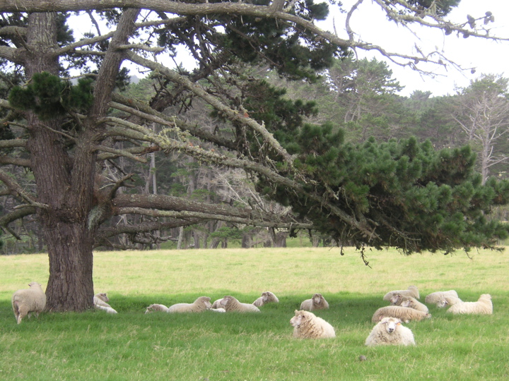 PICT0096.JPG