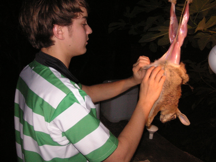 PICT0098.JPG