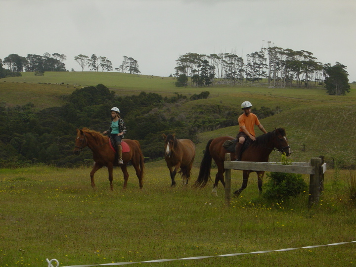 DSC03038.JPG