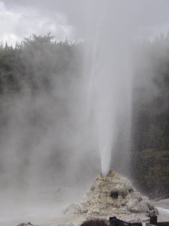 PICT0229.JPG
