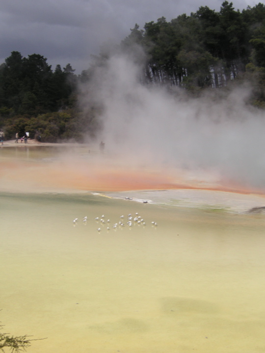 PICT0240.JPG