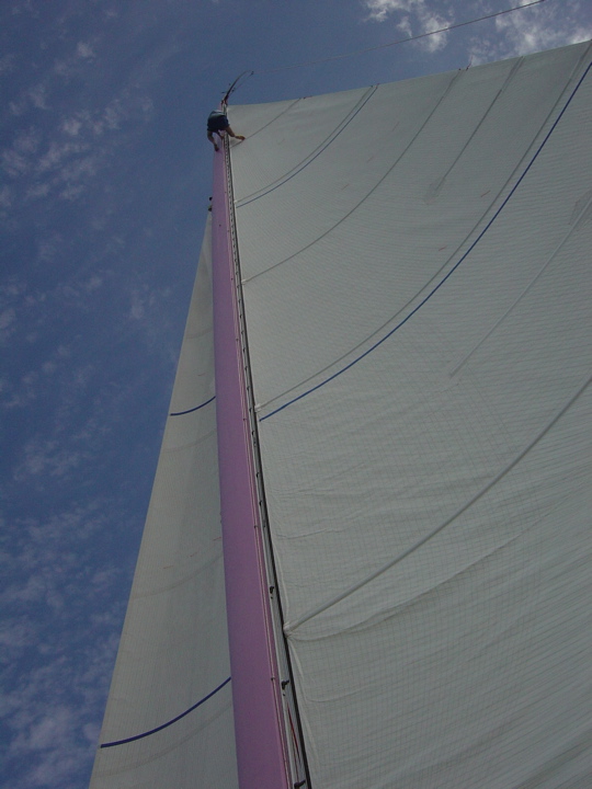 DSC02961.JPG