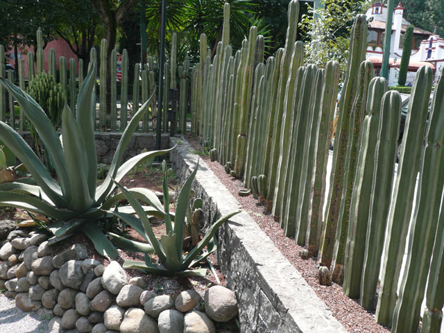 P1020195