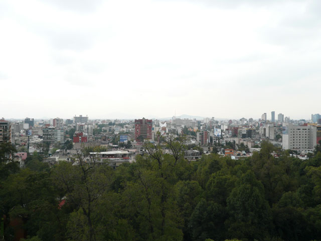 P1020304