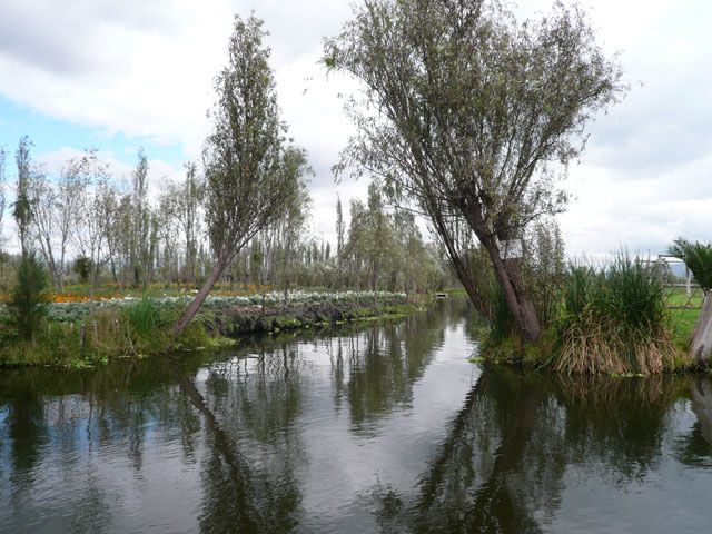P1020350