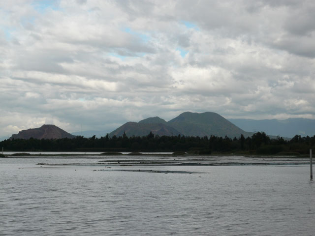 P1020365