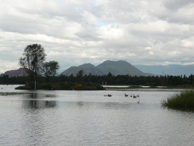 P1020366