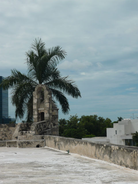 P1010572