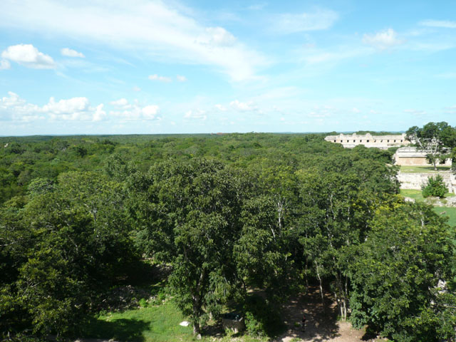 P1010676