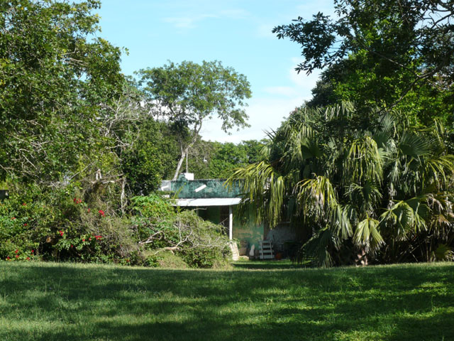 P1010686