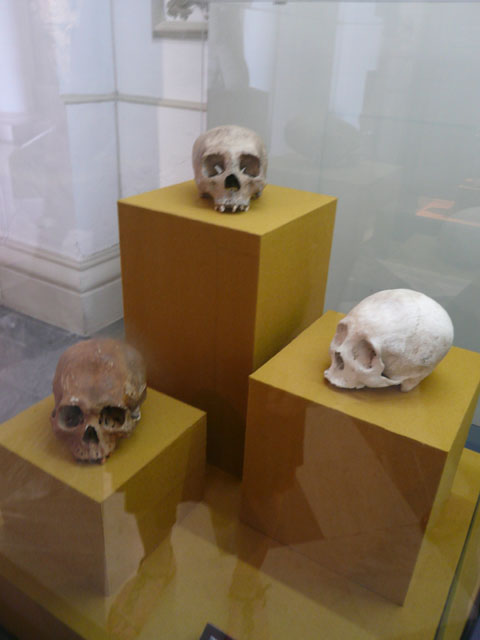 P1010751