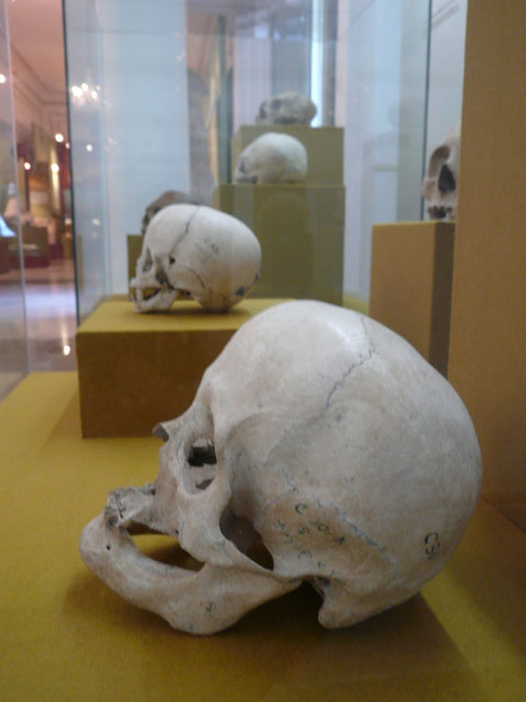 P1010754