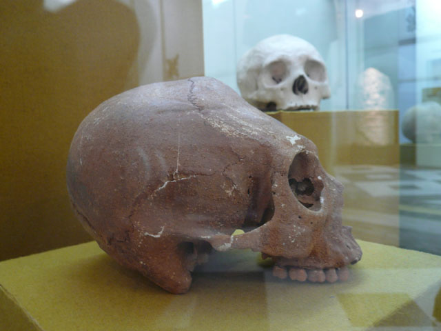 P1010760