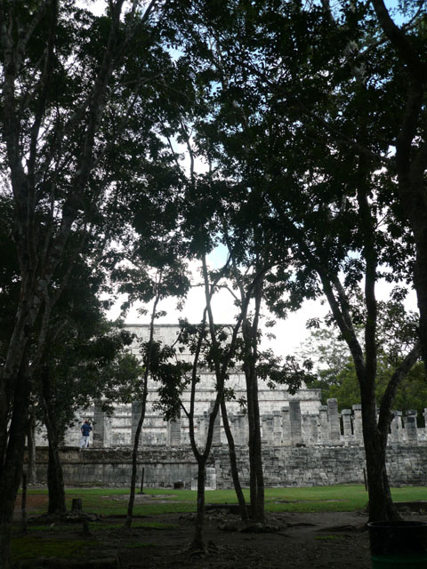 P1010879