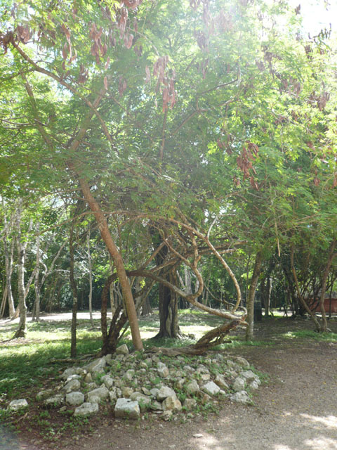 P1010957
