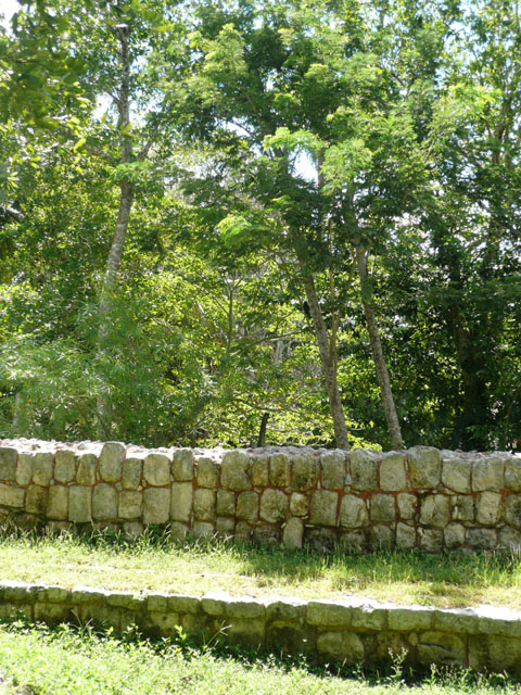 P1010960