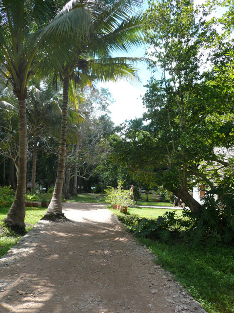 P1010962