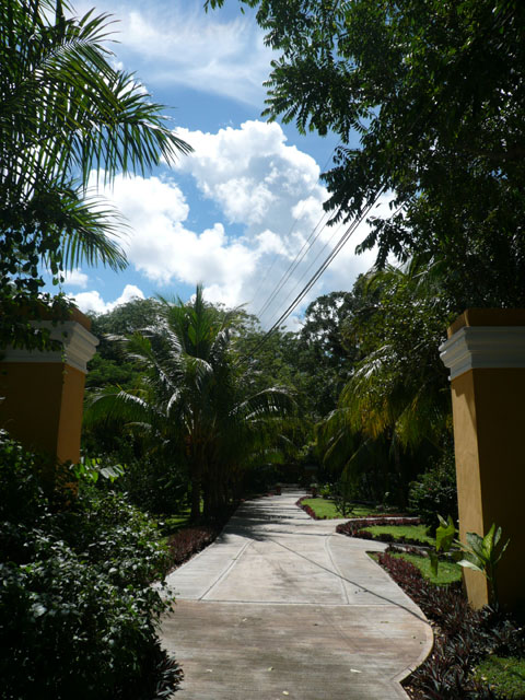 P1010969