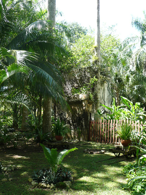 P1010975