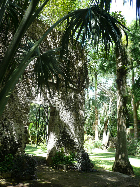 P1010976