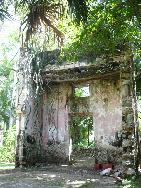 P1010977