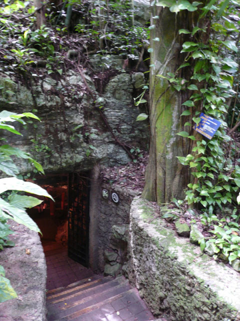 P1020001