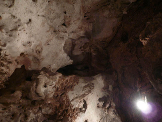 P1020020