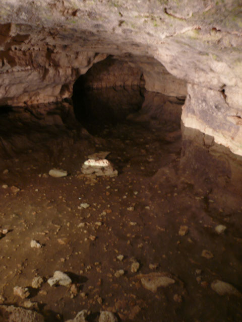 P1020032