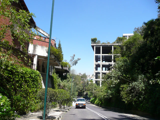 P1050841