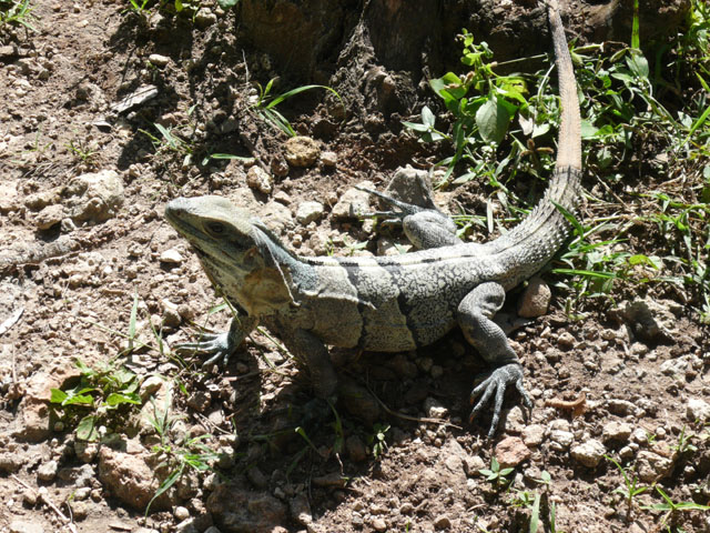 P1010666