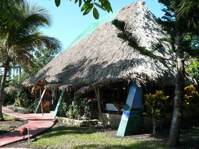 P1020103