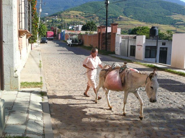 P1050062