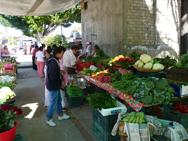 P1050077