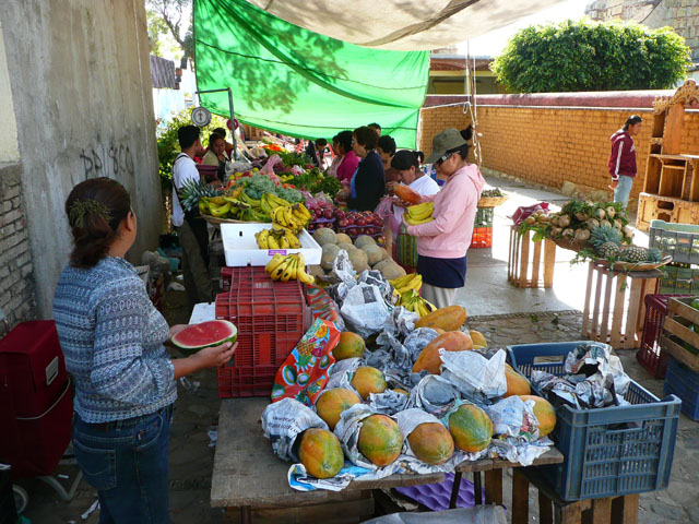 P1050079