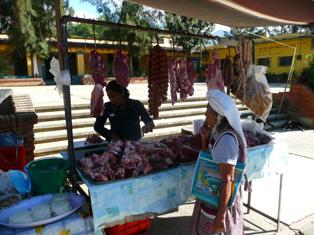 P1050081