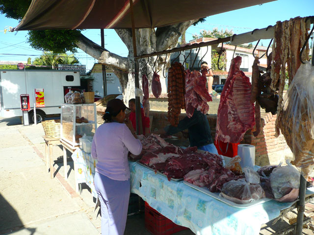 P1050087