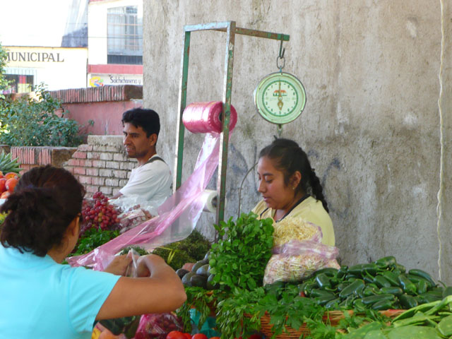 P1050091