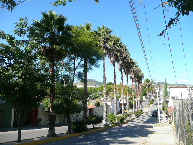 P1050096
