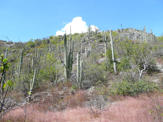 P1050139