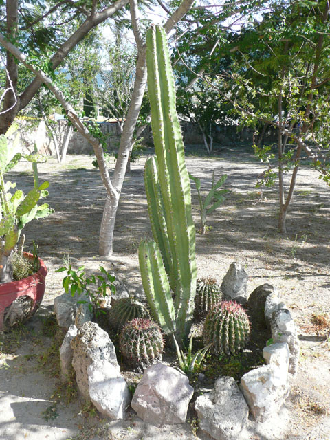 P1050163