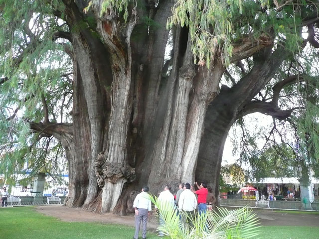 P1050183